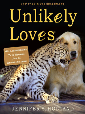 cover image of Unlikely Loves